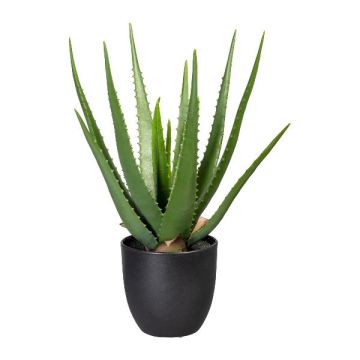 Succulente artificielle succulente Aloe Vera KRONFA en pot décoratif, vert, 45cm