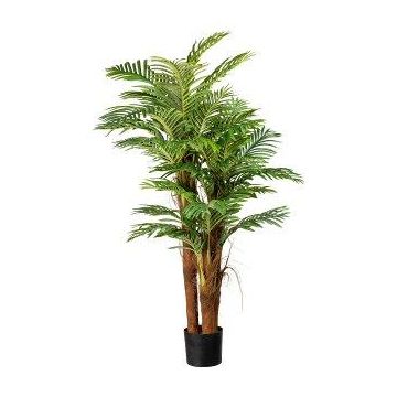 Palmier décoratif Areca IRENEA, 160cm