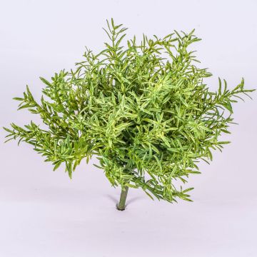 Romarin décoratif JOSHUA à planter, vert, 20cm, Ø15cm