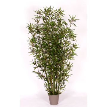 Bambou artificiel HILDEMARA, tiges de bambou naturelles, crossdoor, 200cm - Made in Italy
