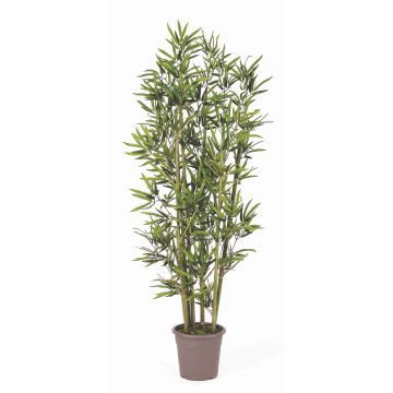 Faux bambou KUSJA, tiges de bambou naturelles, crossdoor, 175cm - Made in Italy