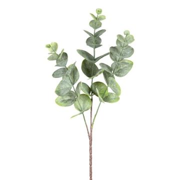 Branche décorative Eucalyptus BLIFER, gris-vert, 50cm