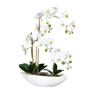 Orchidée Phalaenopsis décorative JELTRON, coupe en céramique, racines, blanc, 60cm