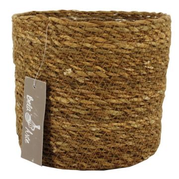Panier de zostère AMPARO, beige, 14cm, Ø16,5cm Panier de zostère AMPARO, beige, 14cm, Ø16,5cm
