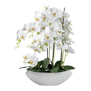 Fleur décorative Orchidée Phalaenopsis XELAV, coupe en céramique, blanc, 65cm