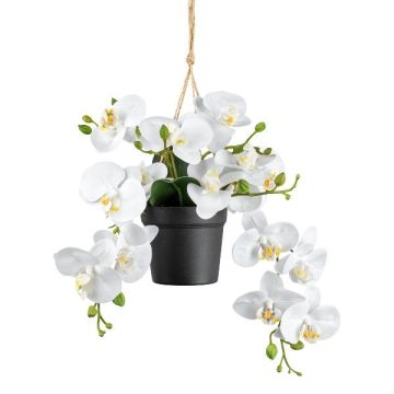 Suspension d'orchidée Phalaenopsis décorative LARSAY, pot décoratif, blanc, 25cm
