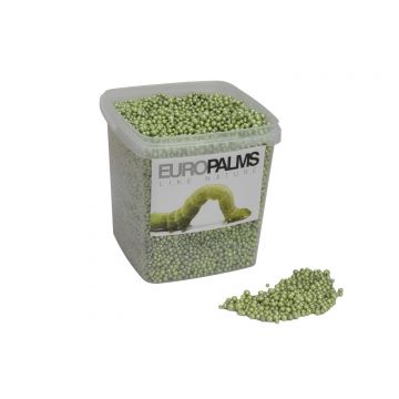 Perles décoratives / billes d'argile expansée PERLA, vert pomme brillant, 1-4mm, seau de 5,5l, Made in Germany