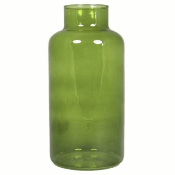Vase à fleurs SIARA en verre, vert olive-transparent, 30cm, Ø15cm