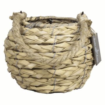 Lanterne en osier JUANITA avec photophore, anse, tressée, beige, 13cm, Ø17cm Lanterne en osier JUANITA avec photophore, anse, tressée, beige, 13cm, Ø17cm