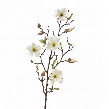 Magnolia artificiel LILO, crème, 75cm, Ø5-9cm