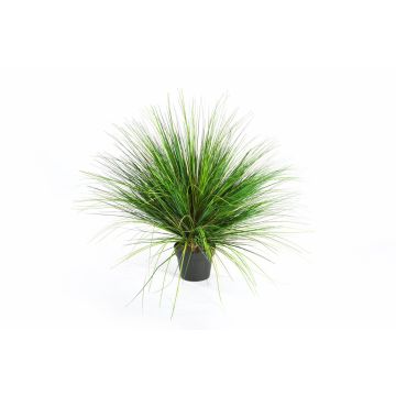 Herbe des dunes artificielle FABIAN, vert, 65cm