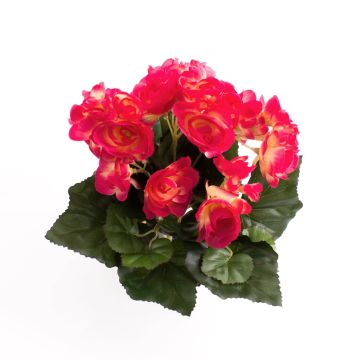 Fausse fleur Bégonia IVANA à planter, fuchsia, 20cm, Ø3-5cm