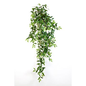 Chute artificielle Tradescantia Fluminensis AURELIE, à piquer,  vert, 125cm