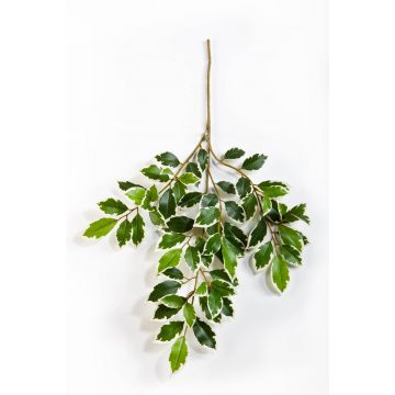 Branche artificielle de ficus Benjamini AJITH, vert-blanc, 45cm