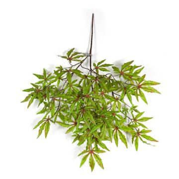 Branche décorative d'érable japonais ALEXANDER, vert clair-rouge, 60cm