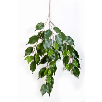 Branche décorative de ficus SUNIL, vert, 75cm