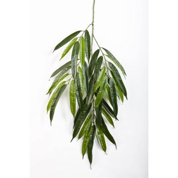 Branche décorative de Longifolia NILAY, 65cm