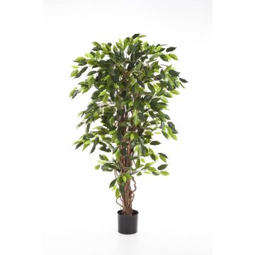 Ficus Benjamini artificiel JARLAN, troncs véritables, vert, 120cm