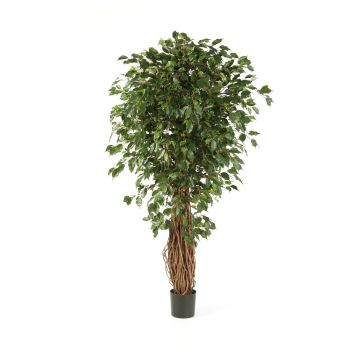 Ficus Benjamini synthétique LUCIUS, troncs véritables, vert, 120cm
