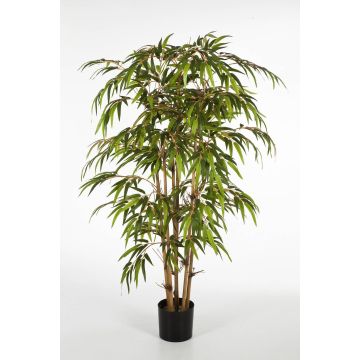 Bambou décoratif HIROSHI, Cannes de bambou naturelles, 120cm