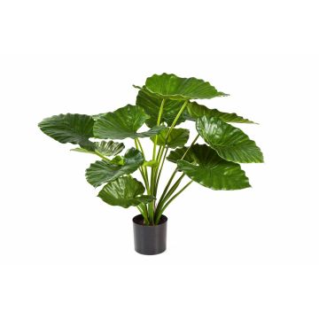 Plante artificielle Alocasia Calidora SALONI, vert, 75cm