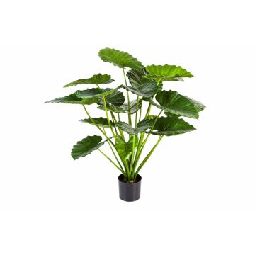 Plante artificielle Alocasia Calidora SALONI, vert, 95cm