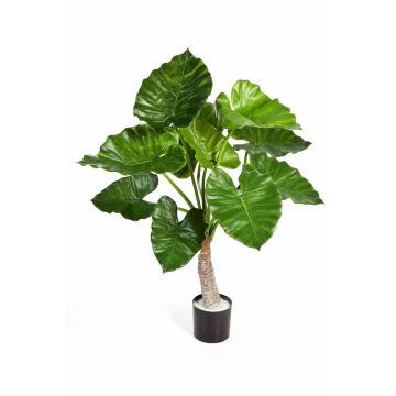 Plante décorative Alocasia Calidora SURI, vert, 80cm