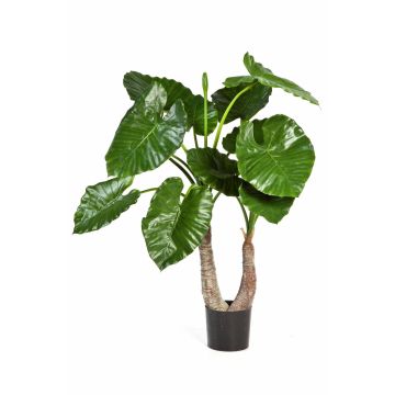 Plante décorative Alocasia Calidora SURI, vert, 100cm