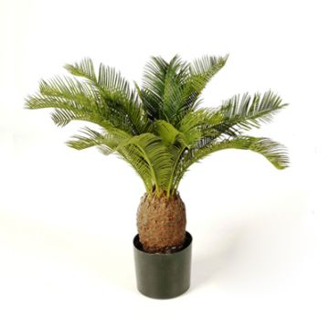 Faux palmier Cycas MATTHEW, 65cm
