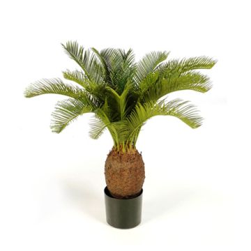 Faux palmier Cycas MATTHEW, 70cm