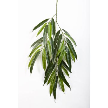 Branche décorative de Longifolia NILAY, diff. inflammable, 65cm