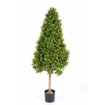 Pyramide de buis plastique TOM, tronc naturel, 105cm