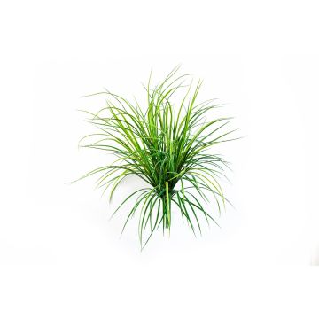 Roseau artificiel ELIAS à planter, vert, 75cm