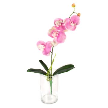 Fausse orchidée Phalaenopsis MADOU, à planter, rose, 40cm