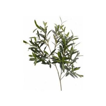 Branche d'olivier décorative MIMIKO, crossdoor, 90cm