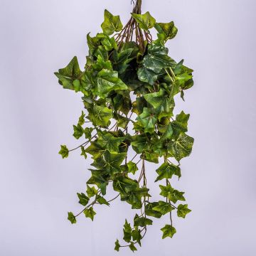 Vrille de lierre artificiel MAJA à planter, vert, 70cm