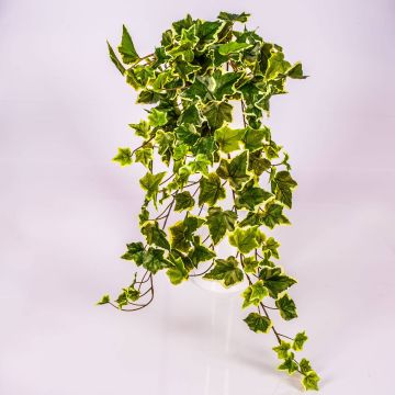 Vrille de lierre artificiel MAJA à planter, vert-blanc, 70cm