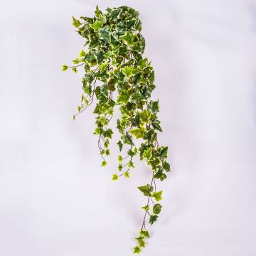 Vrille de lierre artificiel MAJA à planter, vert-blanc, 100cm