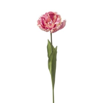 Tulipe perroquet décorative LIOMARA, lilas clair, 65 cm