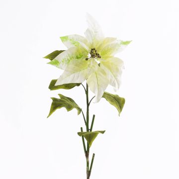 Fleur textile étoile de Noël FLAVIA, crème, 70cm, Ø20cm