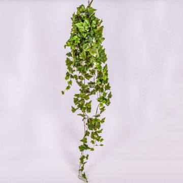 Vrille de lierre artificiel MAJA à planter, vert, 120cm