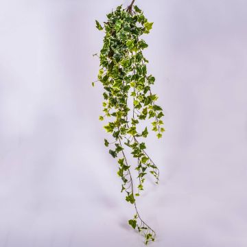 Vrille de lierre artificiel MAJA à planter, vert-blanc, 120cm