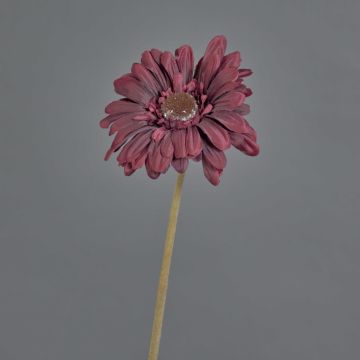 Fleur décorative Gerbera TUNGUSKA, aspect sec, rouge bourgogne, 50cm