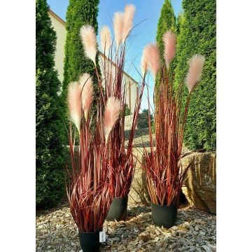 Herbe de la Pampa en plastique WERNHILD avec des panicules, en pot décoratif, rouge-brun, 150cm