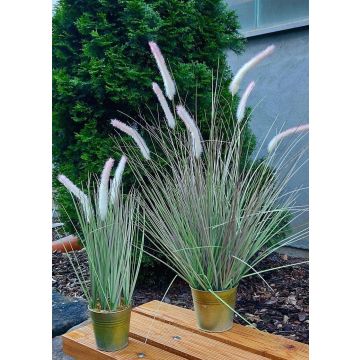 Faux pennisetum alopecuroides SVERRE avec des panicules, en pot en zinc, rose-vert, 80cm