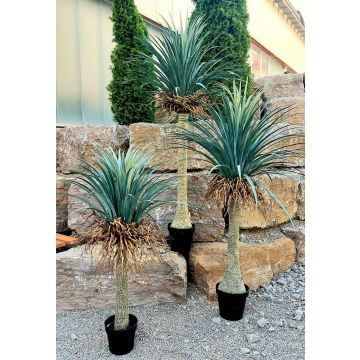 Yucca rostrata en plastique HARDIN, pot décoratif, 160cm