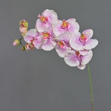 Branche fleurie artificielle Orchidée Phalaenopsis WESA, rose-blanc, 100cm