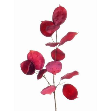 Branche décorative de lunaire JEPPE, rose, 60cm