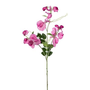 Branche décorative Lathyrus latifolius PLENVO, rose, 75cm