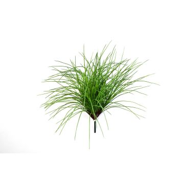Roseau artificiel ELIAS à planter, touffu, vert, 55cm